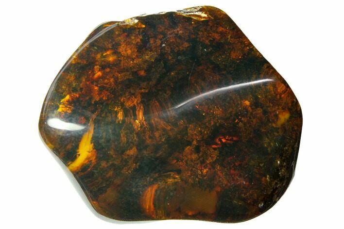 Polished Chiapas Amber ( g) - Mexico #114765